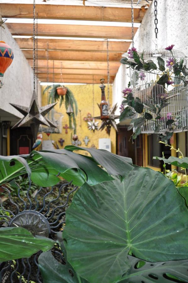 Hotel Tolotzin Toluca Zewnętrze zdjęcie